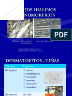 Clase 6.mohos Hialinos Monomorficos