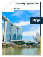 Singapore Company Incorporation Guide