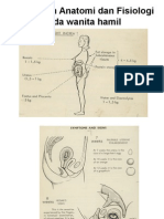 Perubahan Anatomi Dan Fisiologi Pada Wanita Hamil