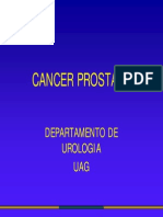 Cáncer de Próstata Uag