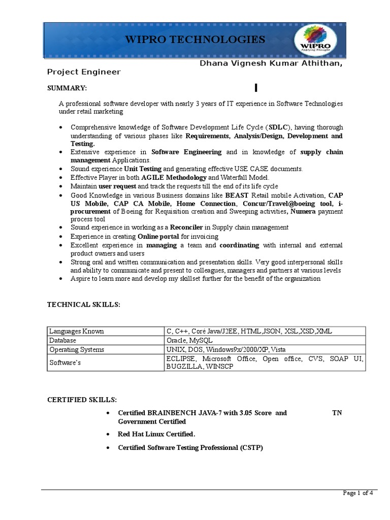 Software Engineer Profile Summary | PDF | Web Service | Software ...