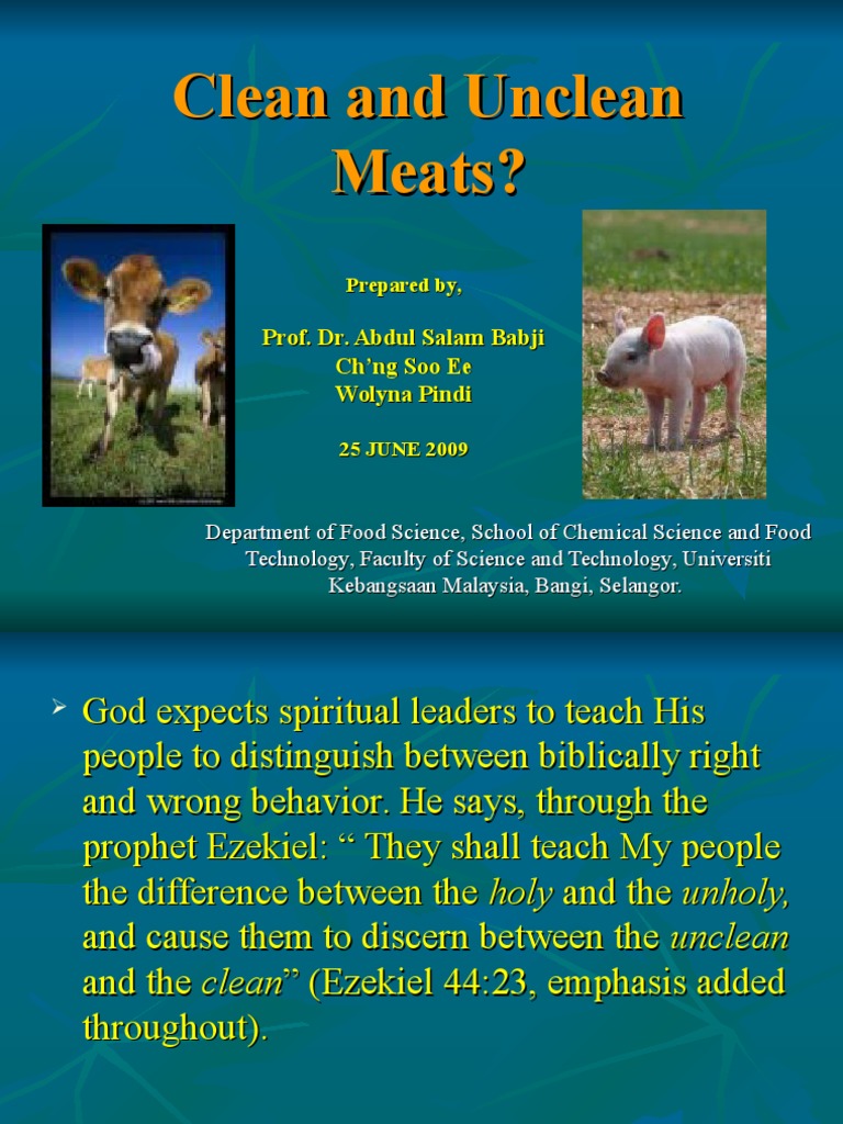 Clean and Unclean Meats Book Of Leviticus Pork