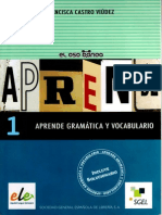 Aprende Gramatica y Vocabulario A1 - 2004