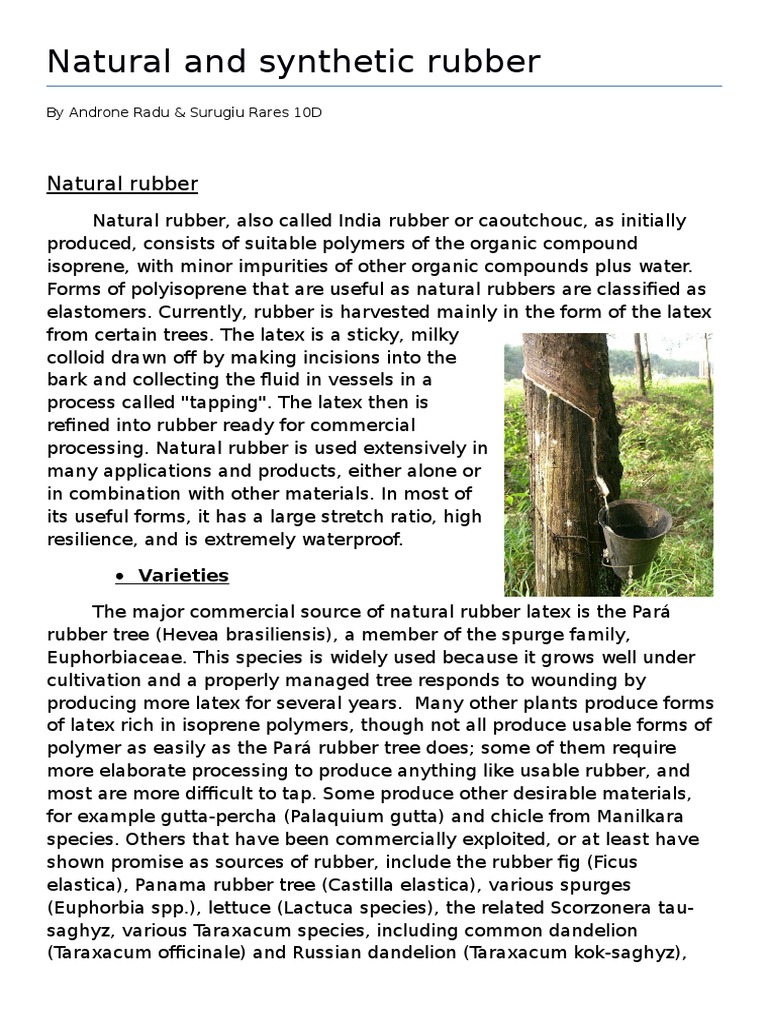 Natural vs Synthetic Rubber Overview | PDF | Natural Rubber | Materials ...