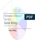 1-2 College Cancer Biology Final 2013