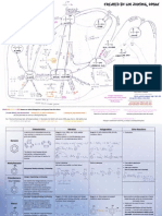 The Wtf a Level Package Organic Chem in Two Charts