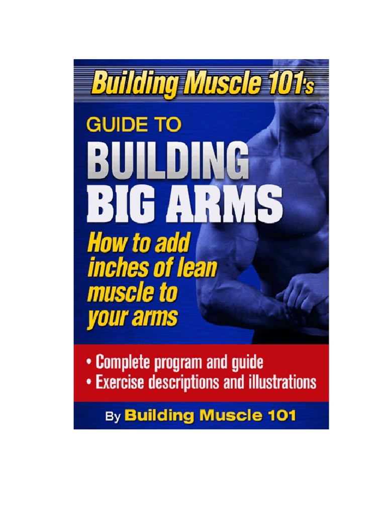 Building Muscle101 Big Arm Guide PDF | PDF | Physical Exercise | Recreation