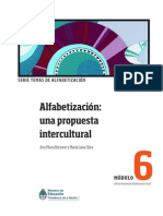 Borzone interculturalidad