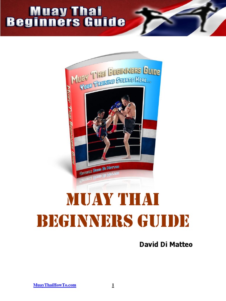 Muay Thai Beginners Guide Muay Thai Mixed Martial Arts