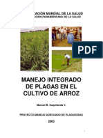 Plagas Cultivo Arroz Manejo Integrado