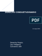Derecho_Propio_Pluralismo_Declaraci_n.pptx