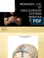 SLIDE Meninges, LCS, Et Vascularisasi