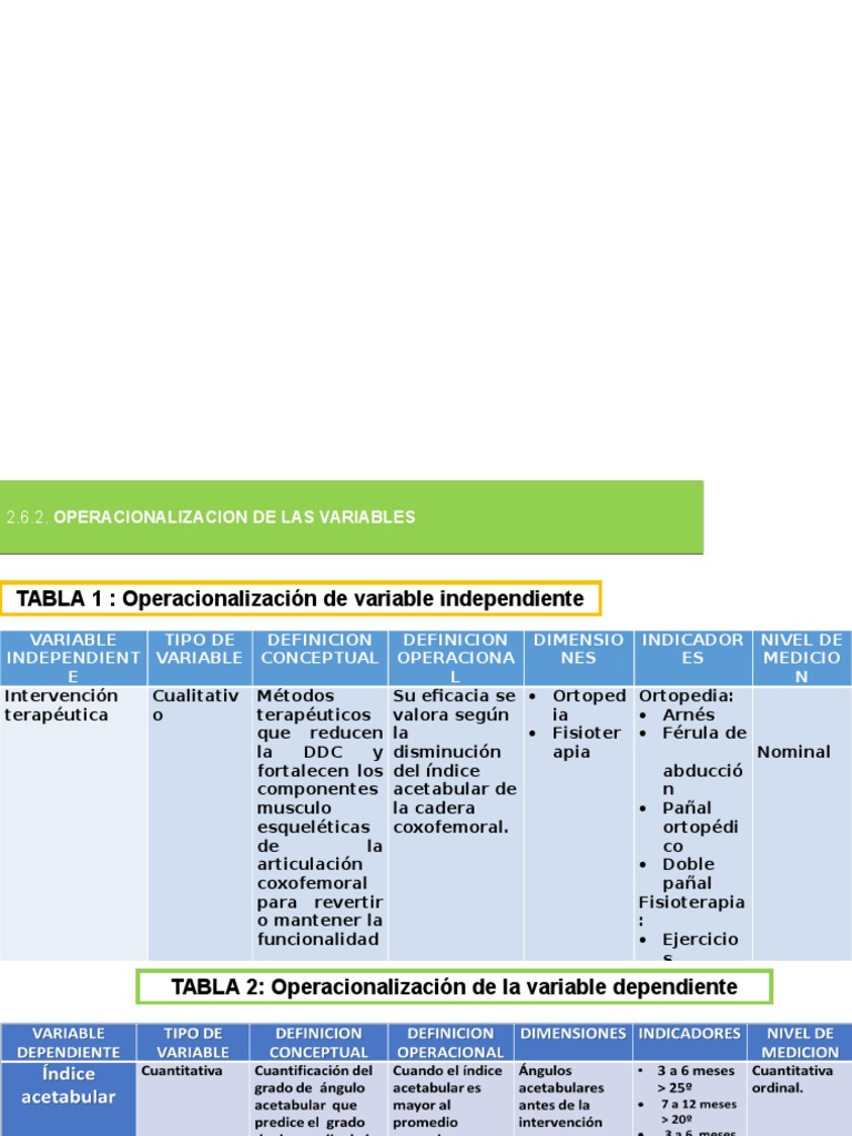 Operacionalizacion de Las Variables | PDF