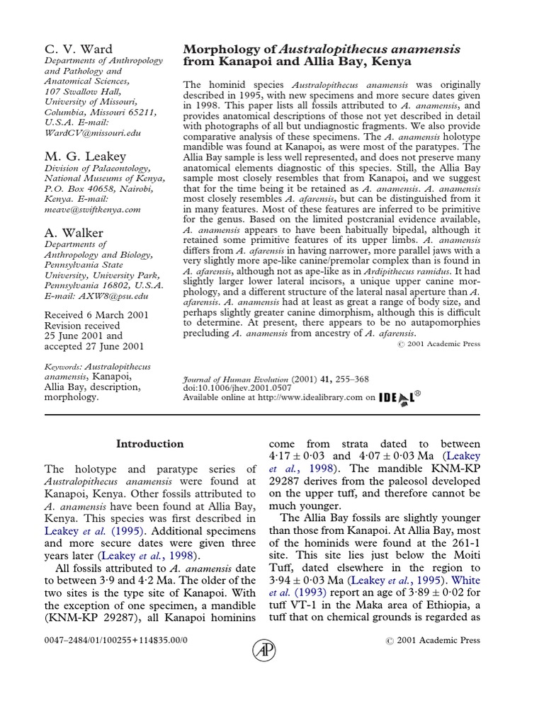 Was Australopithecus Anamensis Ancestral To A. Afarensis? | PDF | Human ...