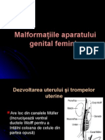 Malformatii Genitale