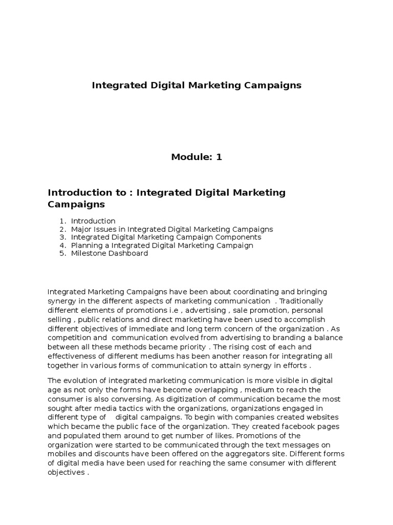 Module 1 Integrated Digital Marketing Campaigns | PDF | Digital ...