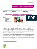 Sistema Cardiovascular