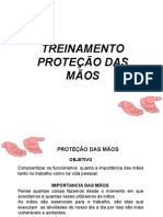 Protrção Mãos