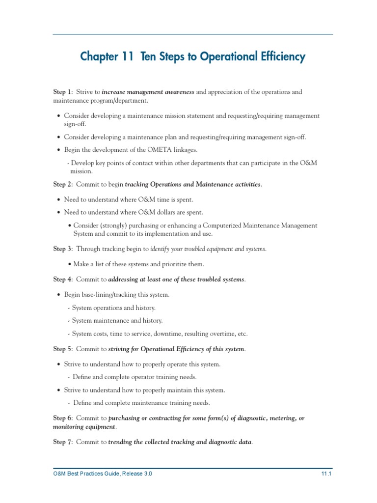 Ten Steps to Operational Efficiency Guide | PDF | Business | Computers