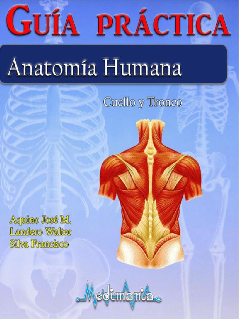 Guía Astrológica Para Corazones Rotos Pdf Gratis