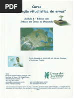 Apostila - Ervas - Adriano Camargo