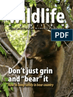 Bear Safety Camping 1