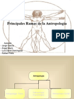 Ramas de La Antropologia