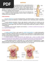 Resumo - Anatomia - Abdômen