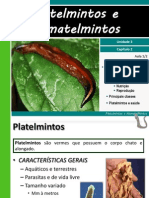 III 2platelmintosenematelmintos 110814211824 Phpapp02