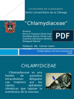 Chlamydiceae