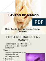 Lavado de Manos