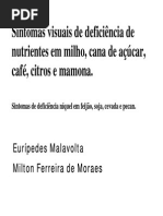 Deficiencias de Nutrientes Em Milho, Cana, Cafe, Citros,Mamona