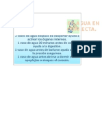 Como Beber Agua en La Hora Correcta