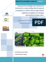 inteligencia-mercado-pimiento.pdf