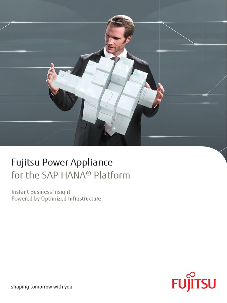 Flyer Infrastructure For SAP in Memory Appliance SAP HANA PDF Sap