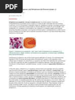 Download Streptococcus Pyogenes by Riska Pasha SN273021405 doc pdf