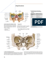 Orbita e Strutture Vicinali (Fossa Pterigo-Palatina Con Accessi)