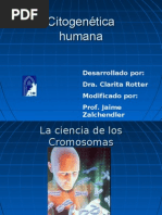 Citogenetica