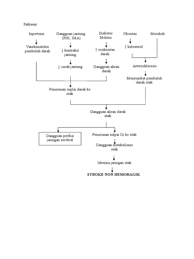 Pathway SNH | PDF