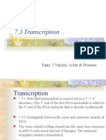 7.3 Transcription: Topic 7 Nucleic Acids & Proteins