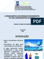 APRESENTAÇÃO - SEMINÁRIO ANIELSON