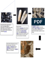 Conceptual Framework - : Arthropod Infraclass Subphylum Crustacea Crabs Lobsters