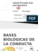 Bases Biológicas de La Conducta