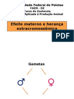 Aula 10 Efeito Materno e Herança Extracromossômica