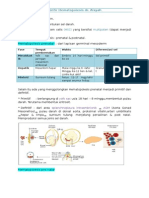 Tentir Hematopoiesis