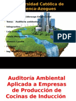 Auditoría Ambiental Sus Caracteristicas