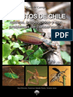 Insectos Chile 2012