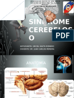 SD - Cerebeloso