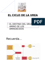 UR Ciclo de La Urea