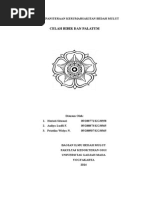 Download Celah Bibir Dan Palatum  by Alfika Dinar Fitri SN273114743 doc pdf